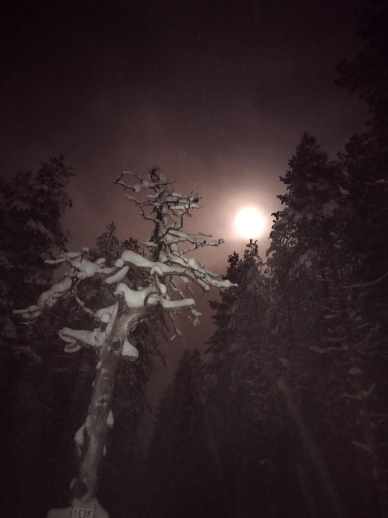 Villa Vihreae Helmi Kuusamo Esterno foto