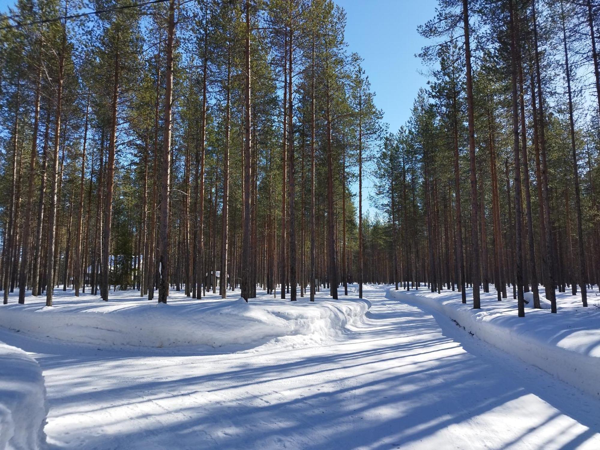 Villa Vihreae Helmi Kuusamo Esterno foto